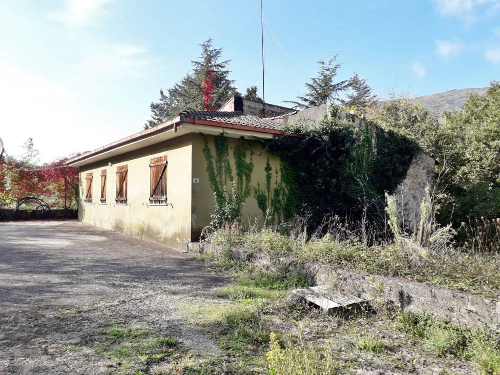 immagine annuncio 1 di 6