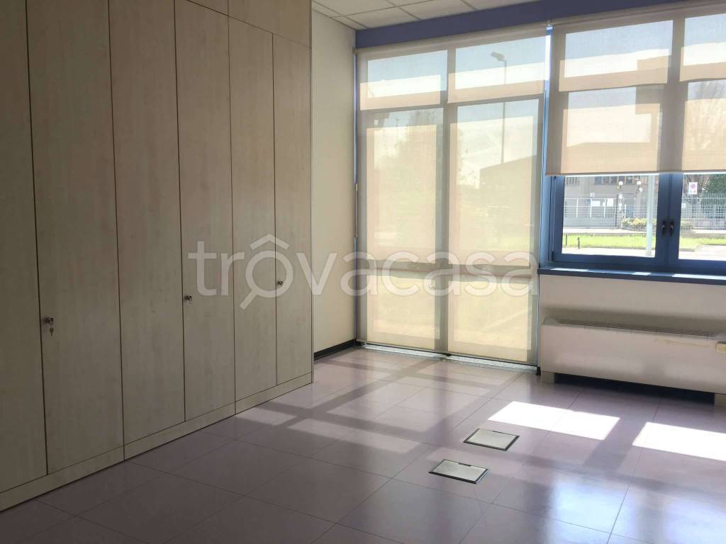 immagine annuncio 5 di 14