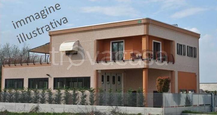 immagine annuncio 3 di 7