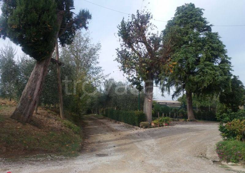 immagine annuncio 2 di 11