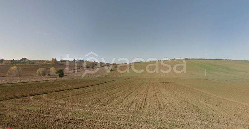Terreno Agricolo in vendita a Cortona