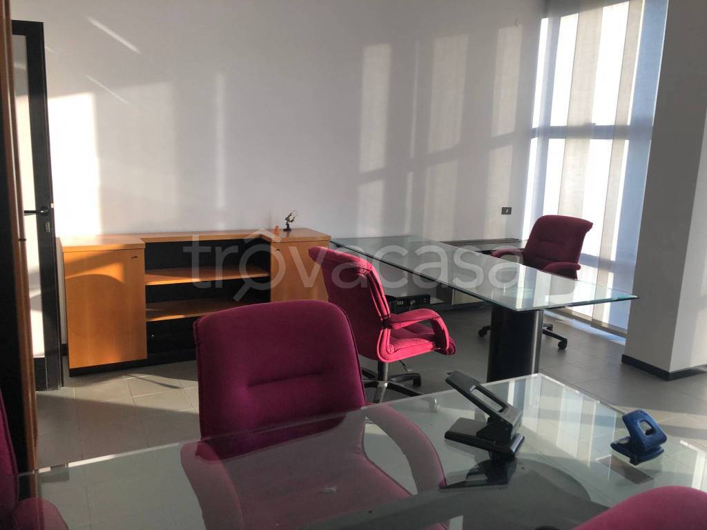 immagine annuncio 12 di 14