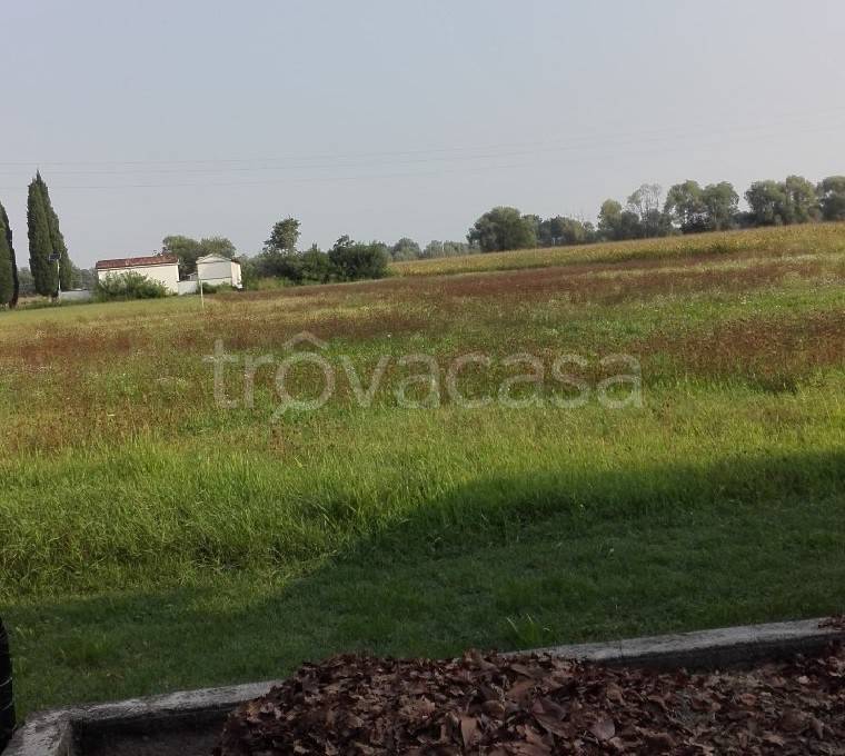 Terreno Agricolo in vendita a Camino al Tagliamento via Biauzzo, 4