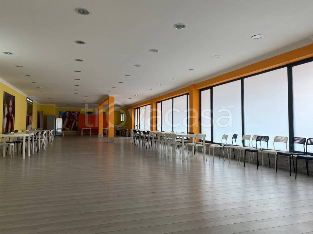 immagine annuncio 9 di 13