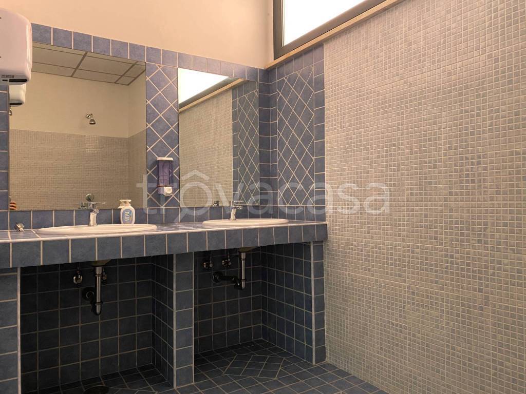 immagine annuncio 7 di 13