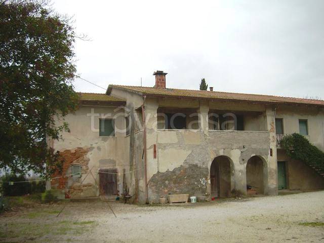 Azienda Agricola in vendita a Cascina via Fosso Vecchio