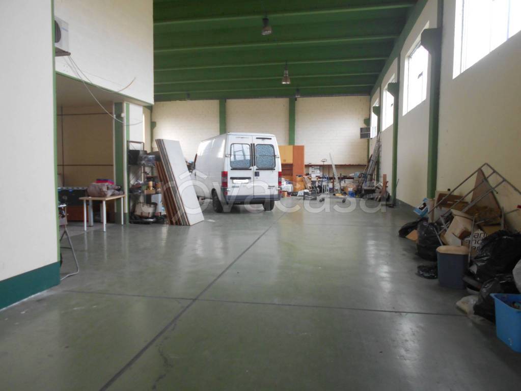 immagine annuncio 2 di 7