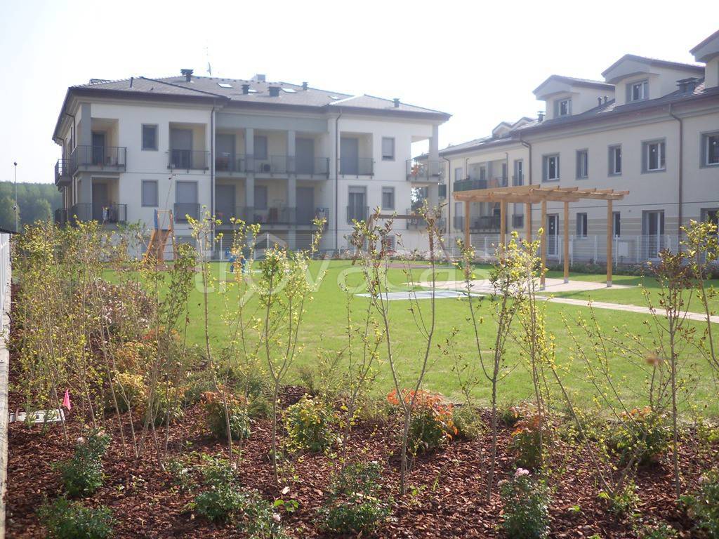 immagine annuncio 6 di 8