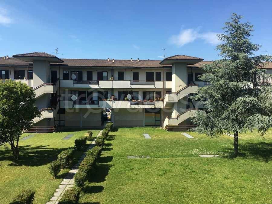 immagine annuncio 10 di 11