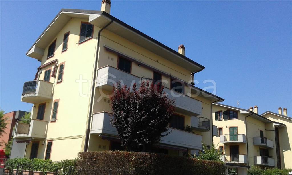 Appartamento in in affitto da privato a Lodi via Monsignor Giuseppe Beccaria, 4