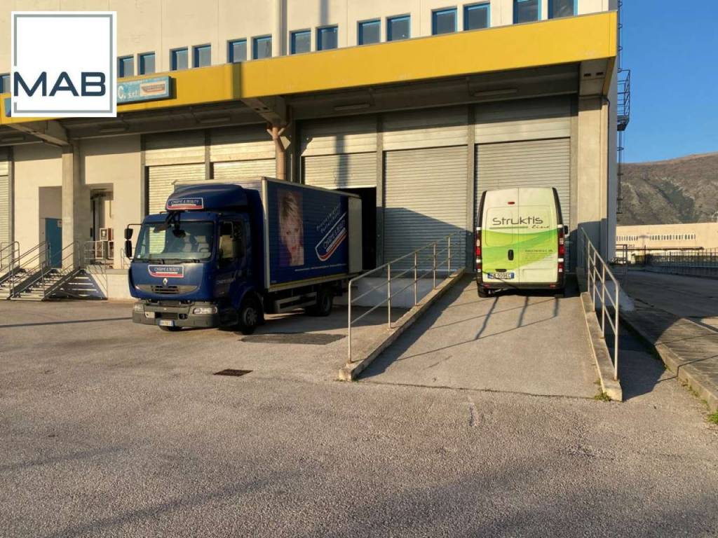 immagine annuncio 10 di 12