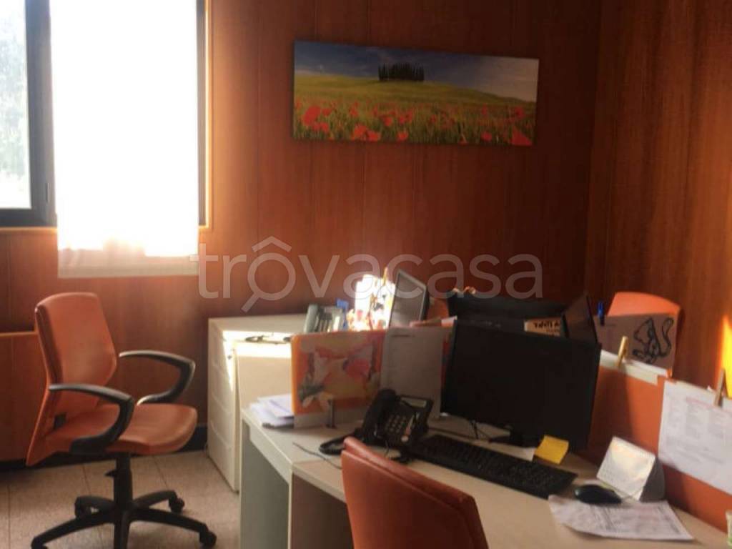 immagine annuncio 3 di 9