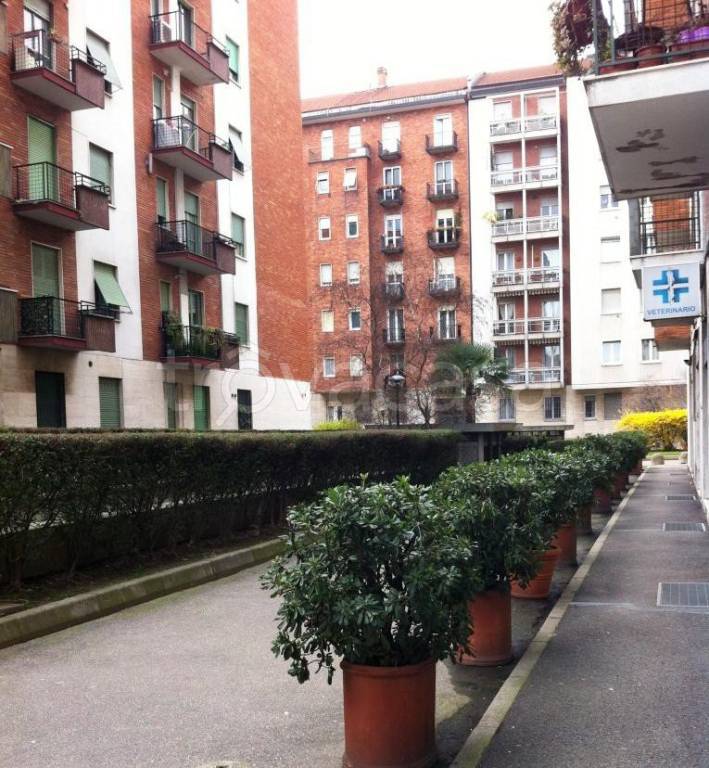 immagine annuncio 12 di 13