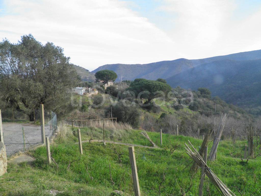 Terreno Agricolo in vendita a Monte Argentario località Cannatelli