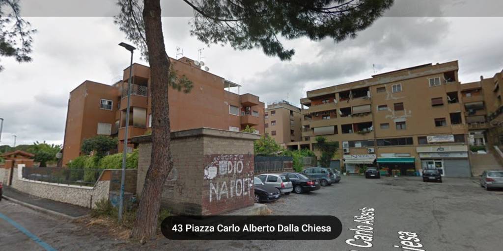immagine annuncio 1 di 10