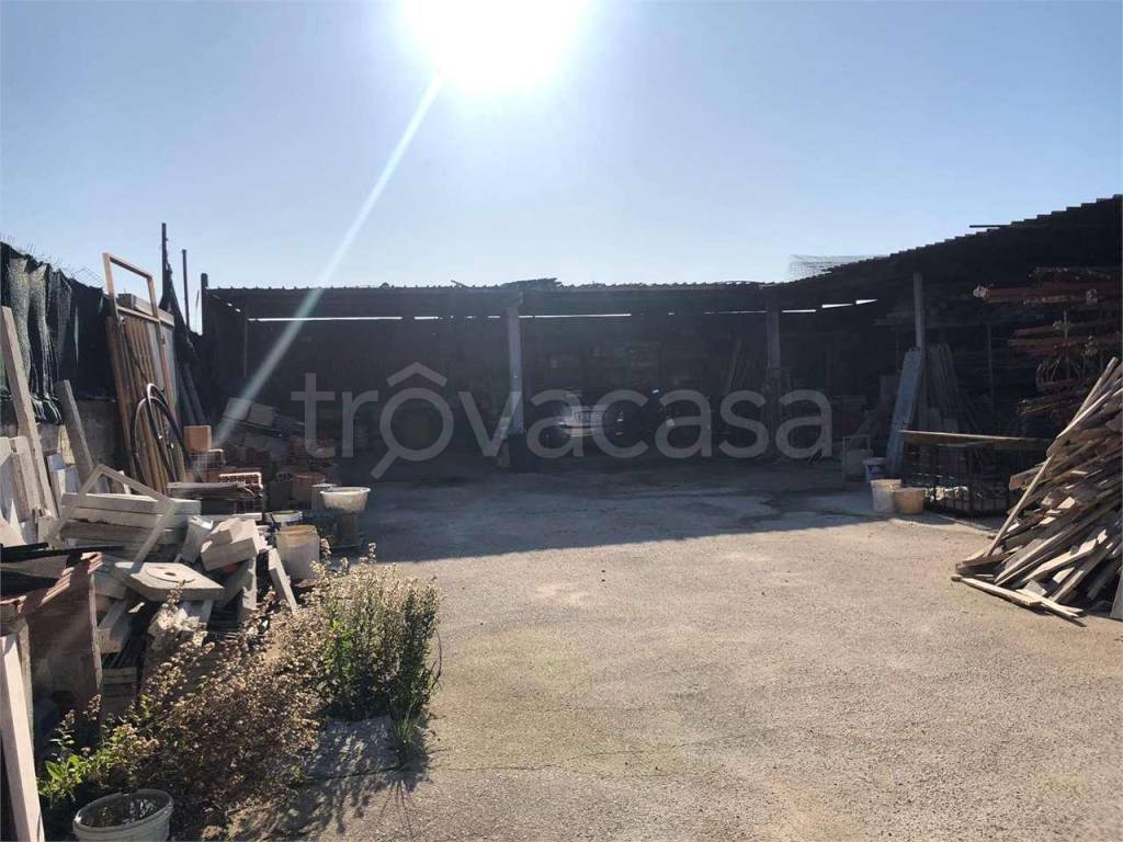 immagine annuncio 2 di 8