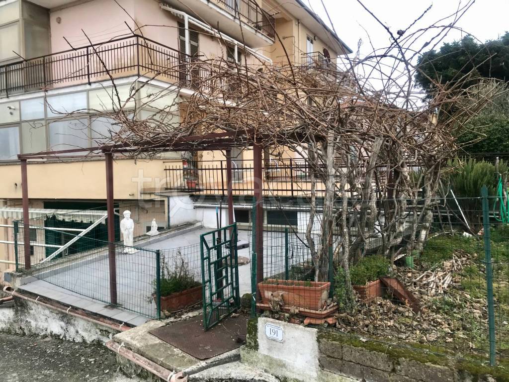 immagine annuncio 1 di 14