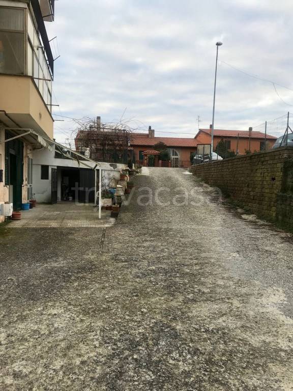 immagine annuncio 2 di 14