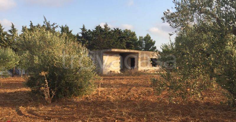 immagine annuncio 1 di 4