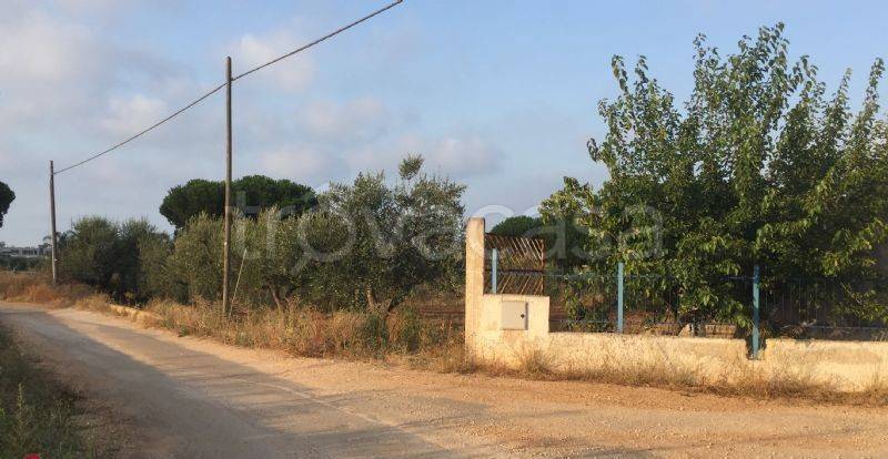 immagine annuncio 2 di 4