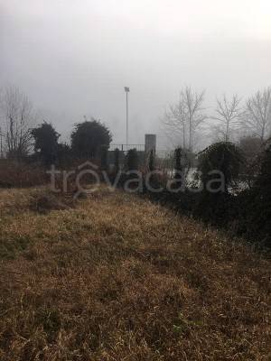 immagine annuncio 6 di 12