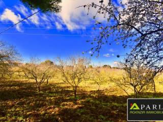 Terreno agricolo in vendita a canicattì contrada montagna