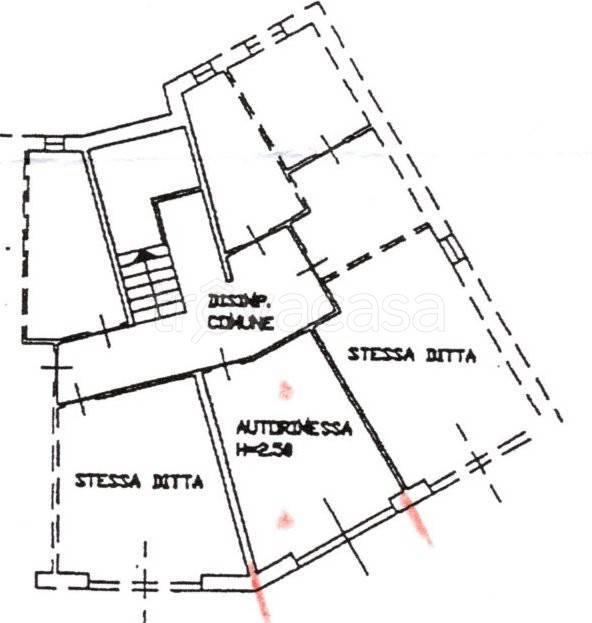 immagine annuncio 12 di 14