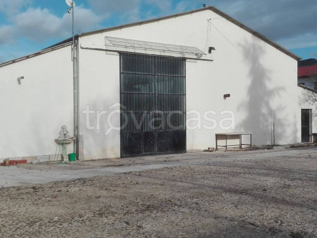 Capannone Industriale in in vendita da privato a Barisciano località Le Pastine
