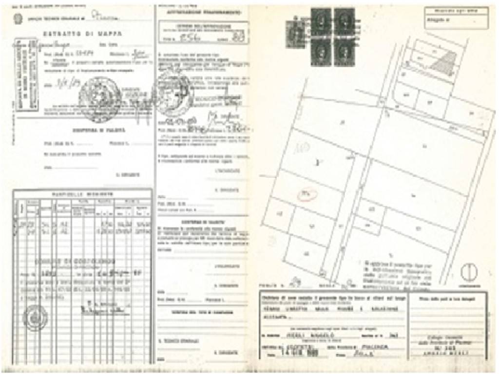 immagine annuncio 5 di 11