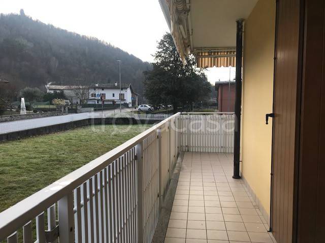 immagine annuncio 4 di 14