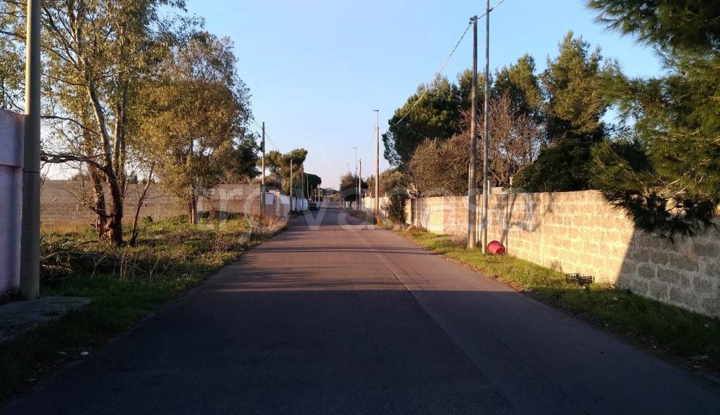 immagine annuncio 8 di 15
