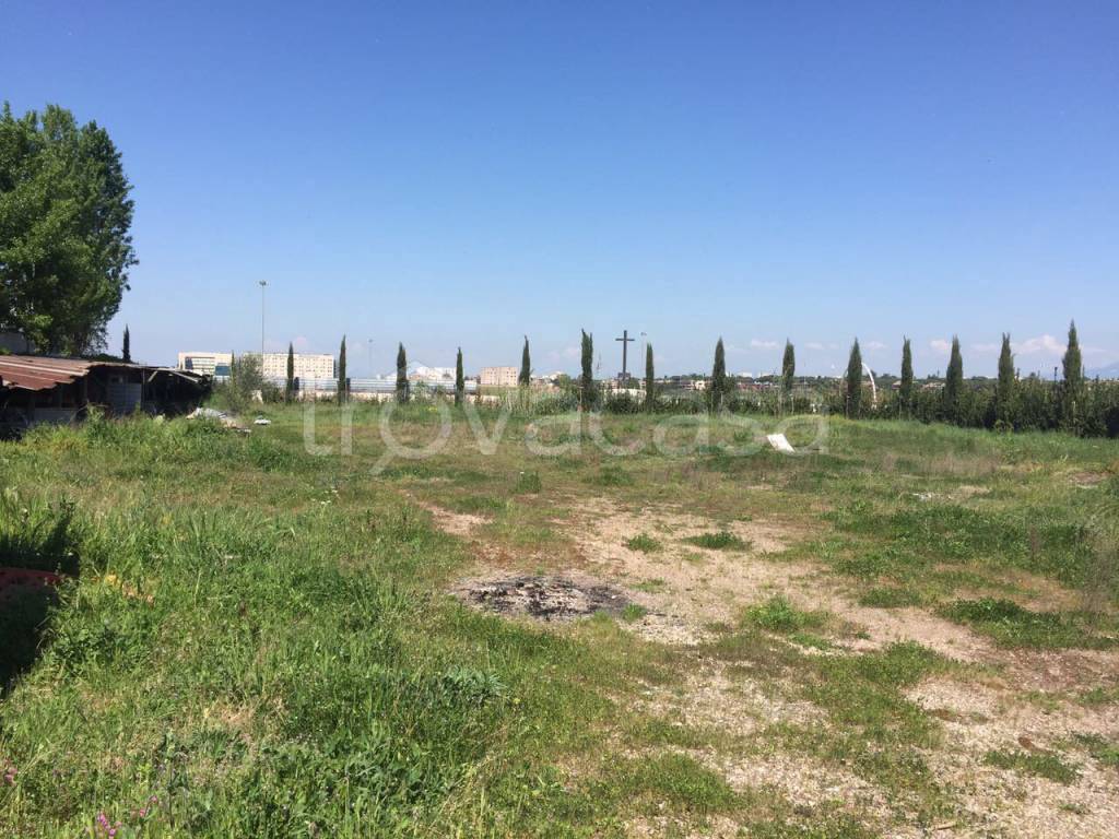 Terreno Agricolo in affitto a Roma via Gioacchino Loreti