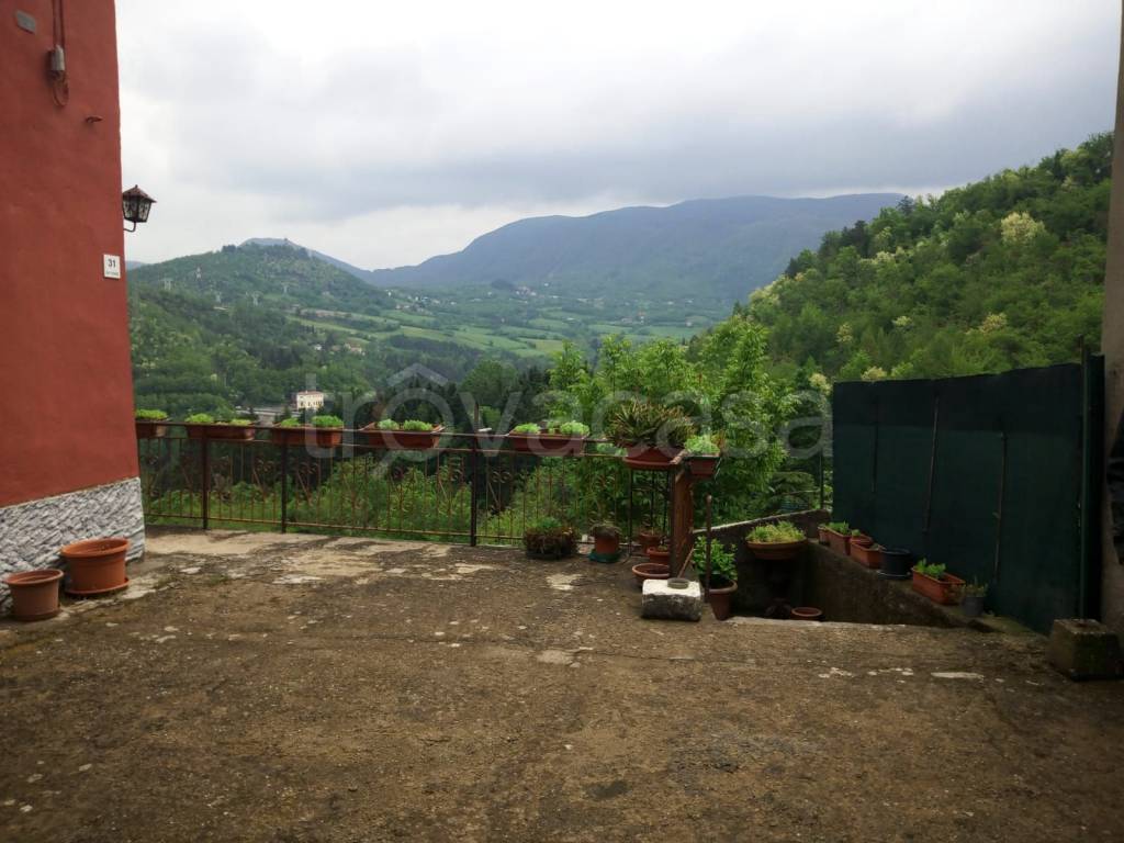 immagine annuncio 2 di 13