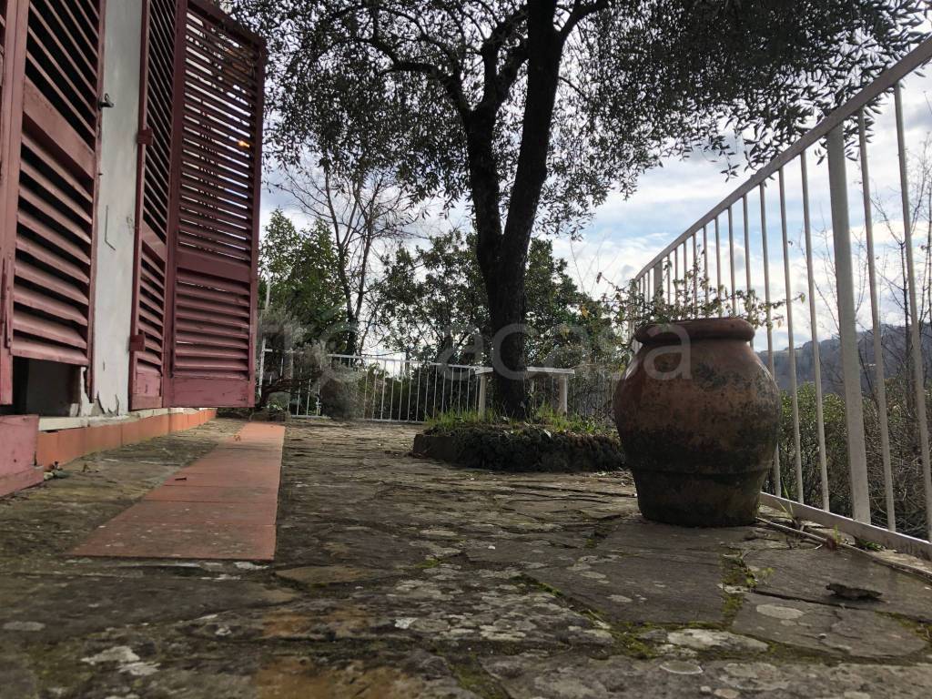 immagine annuncio 3 di 4