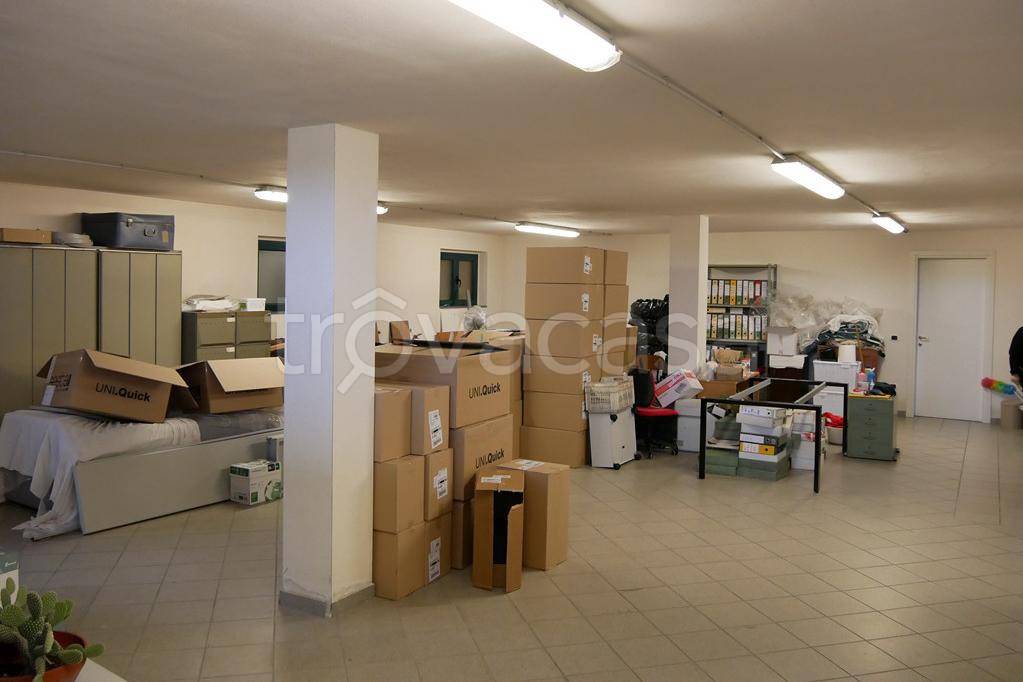 immagine annuncio 3 di 14