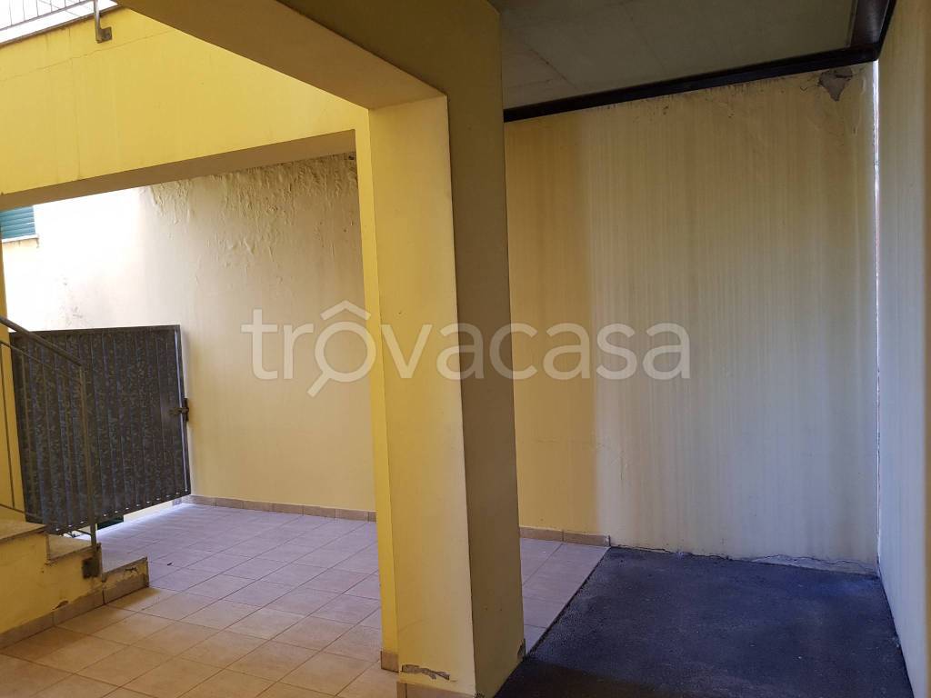 immagine annuncio 12 di 13