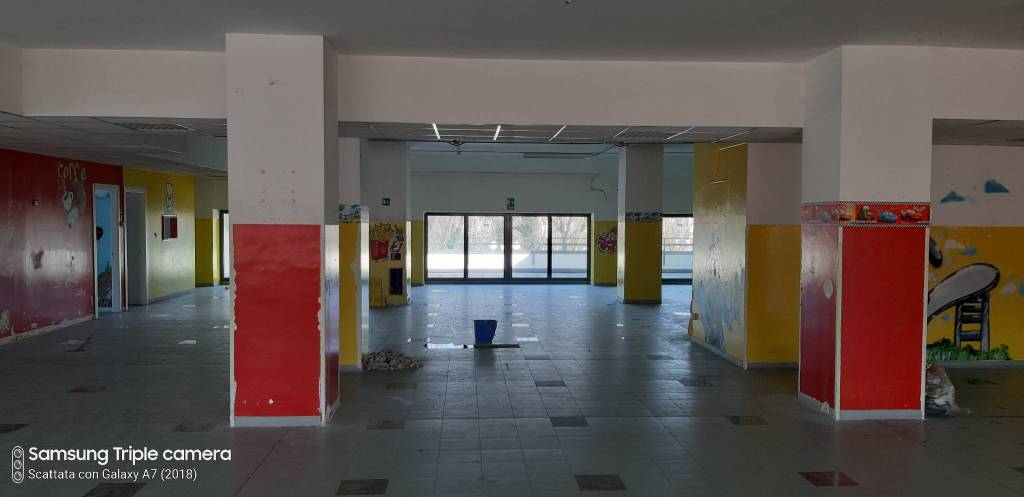 immagine annuncio 3 di 6