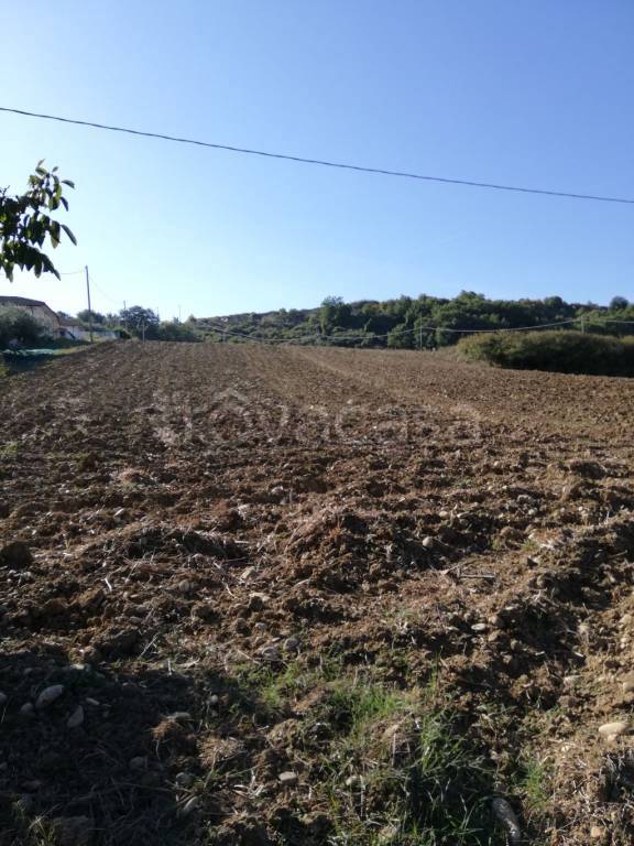 Terreno Agricolo in vendita a Casalbordino contrada Santo Stefano