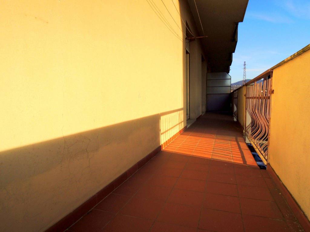 immagine annuncio 9 di 14
