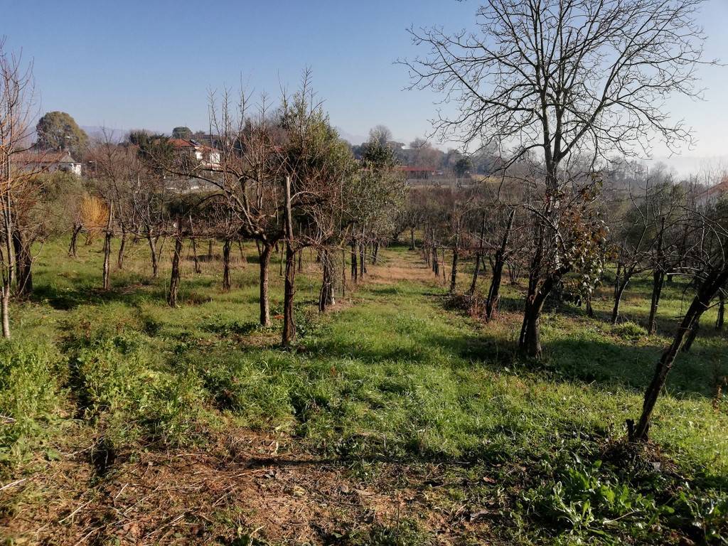 immagine annuncio 10 di 13
