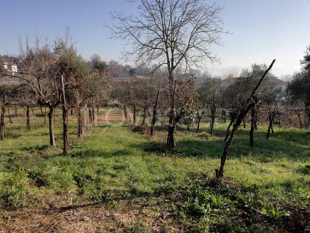 immagine annuncio 8 di 13
