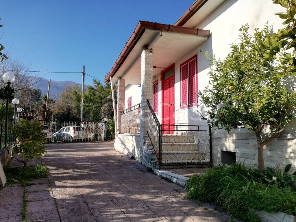 immagine annuncio 9 di 13