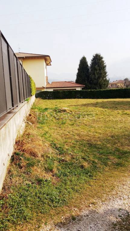 immagine annuncio 9 di 14