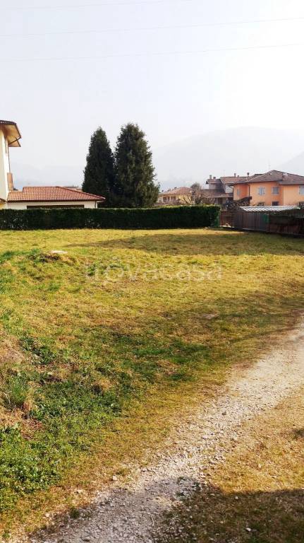 immagine annuncio 10 di 14