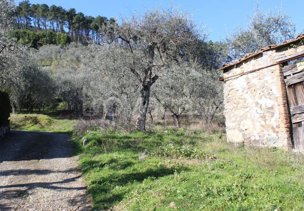Terreno Agricolo in vendita a Capannori via di Spigolo, 61