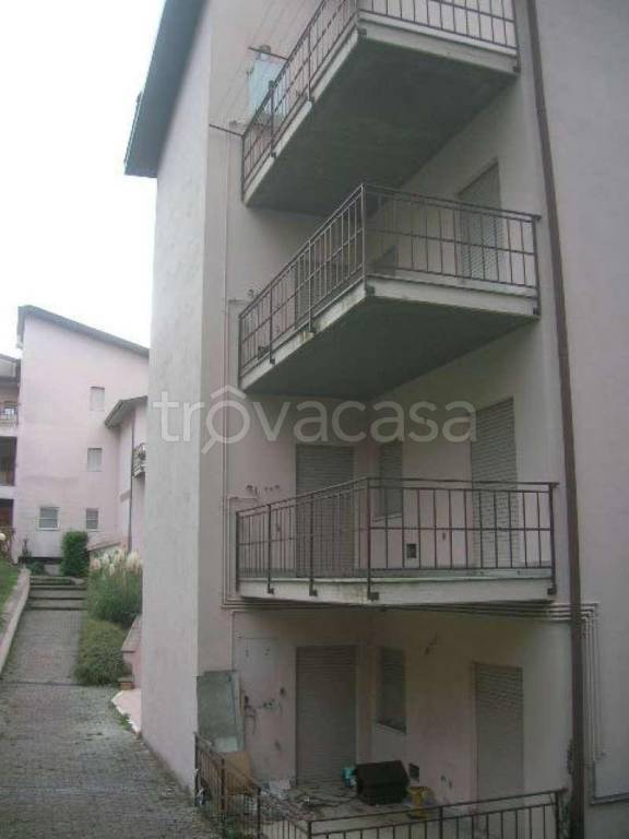 immagine annuncio 9 di 12