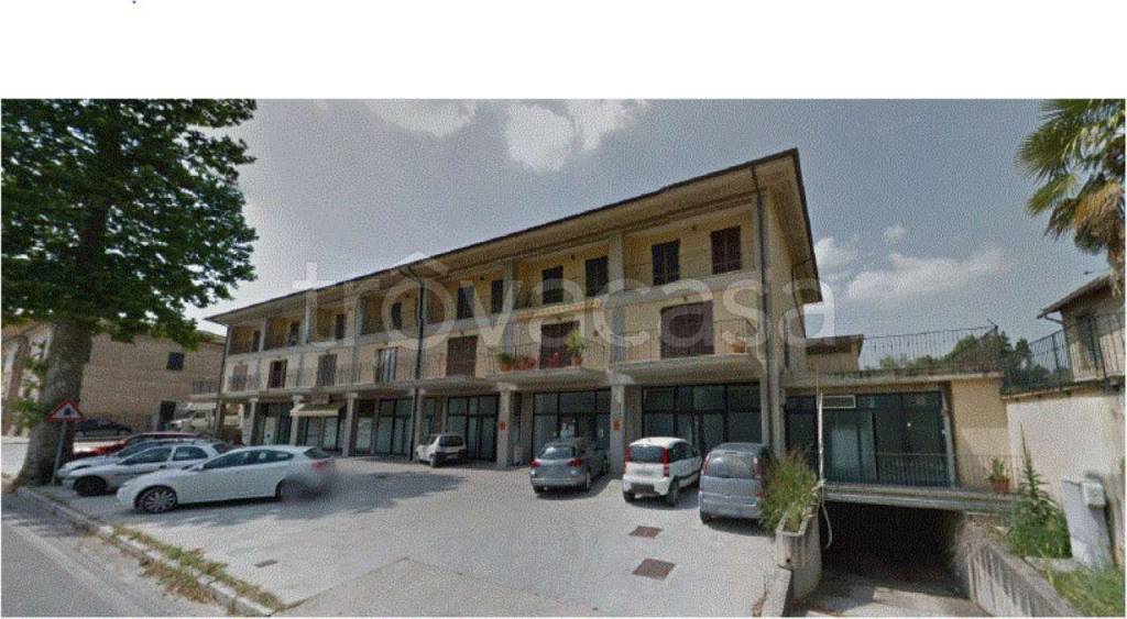 immagine annuncio 3 di 7