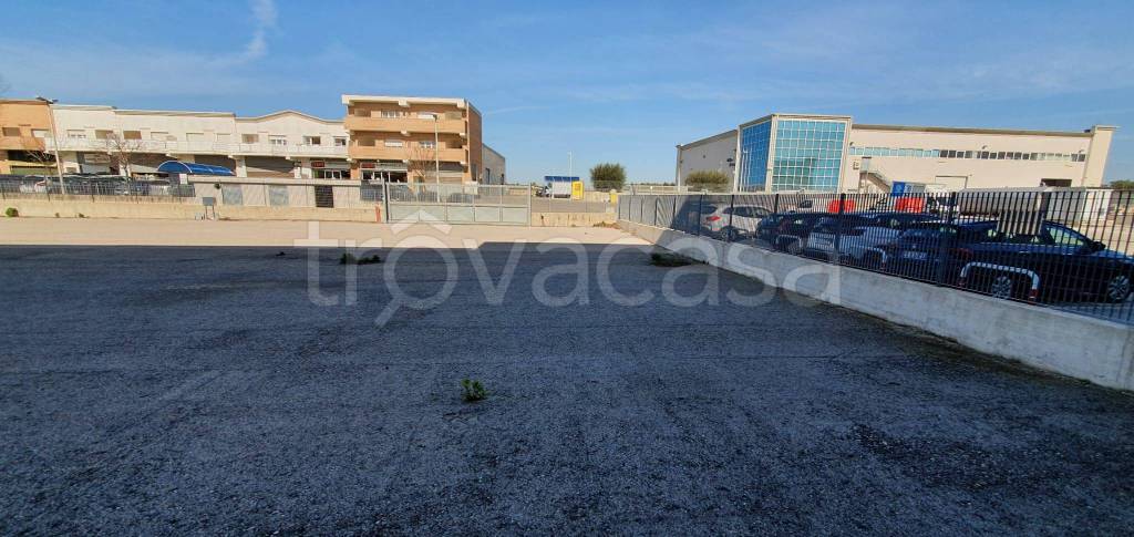 immagine annuncio 9 di 11
