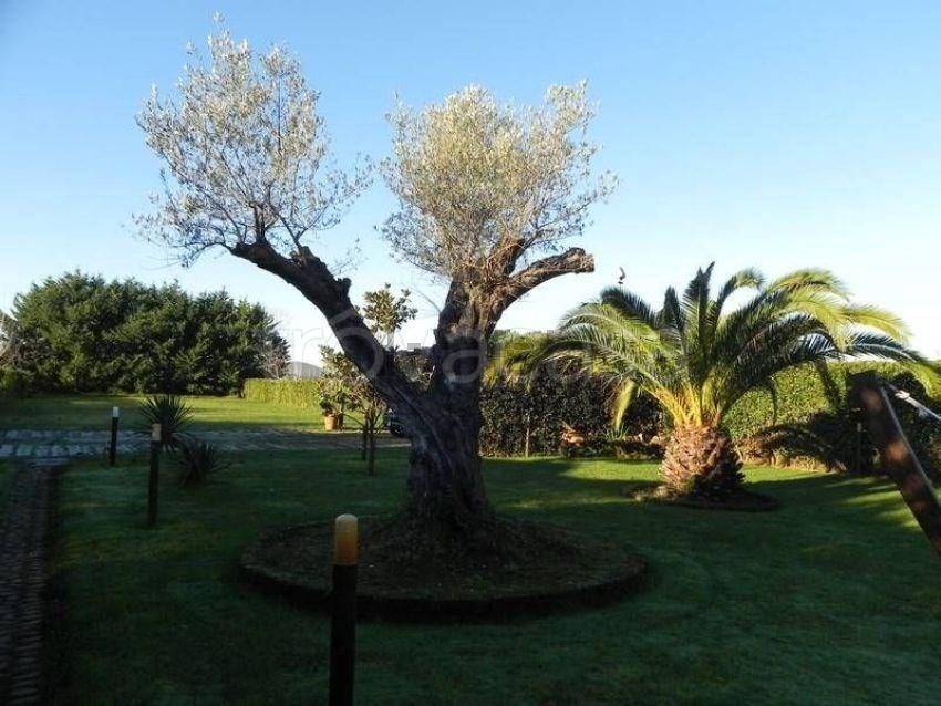 immagine annuncio 7 di 13