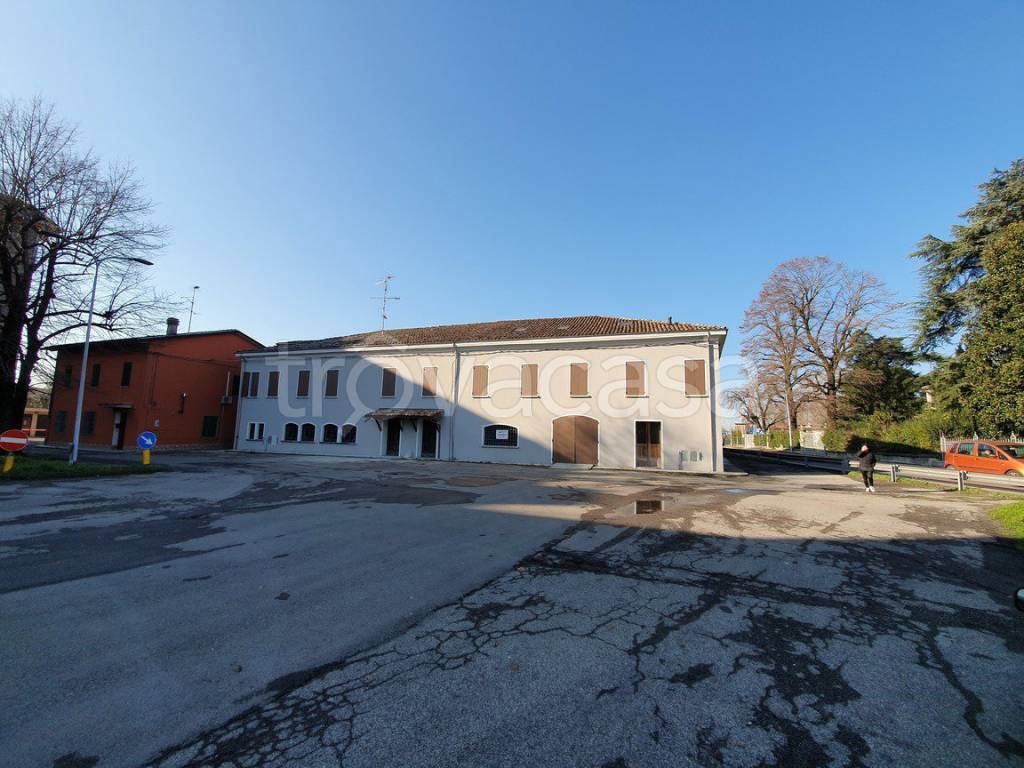 immagine annuncio 2 di 4